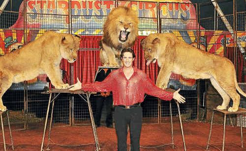 Trainer Matthew Ezekiel with lions Simba, Ceaser, Roarie and Moufassa. Trainer Matthew Ezekiel with lions Simba, Ceaser, Roarie and Moufassa.